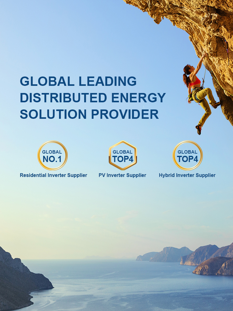 Global_Leading_Energy_Solution_Mobile.jpg